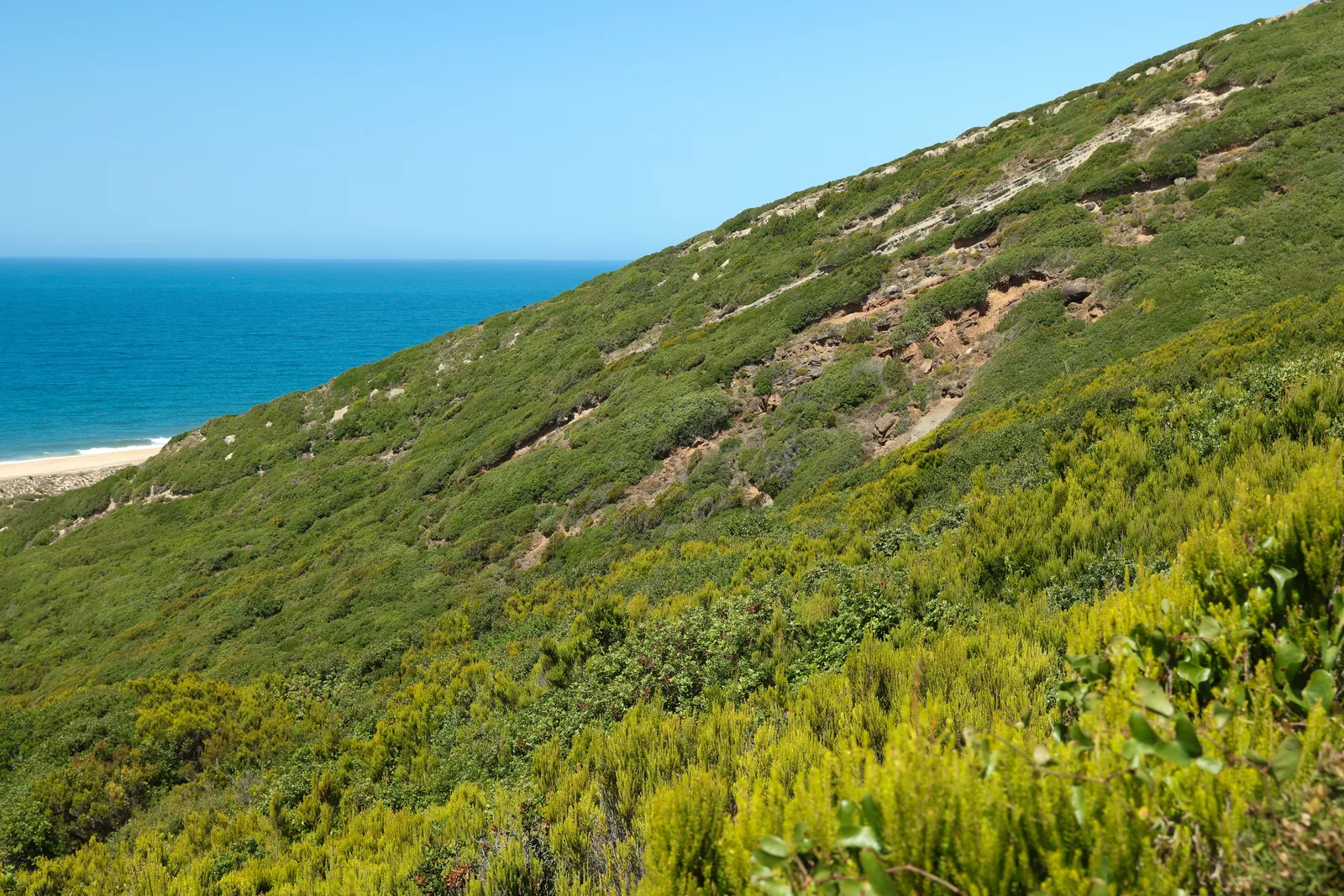 Bio-Reserva Serra da Pescaria
