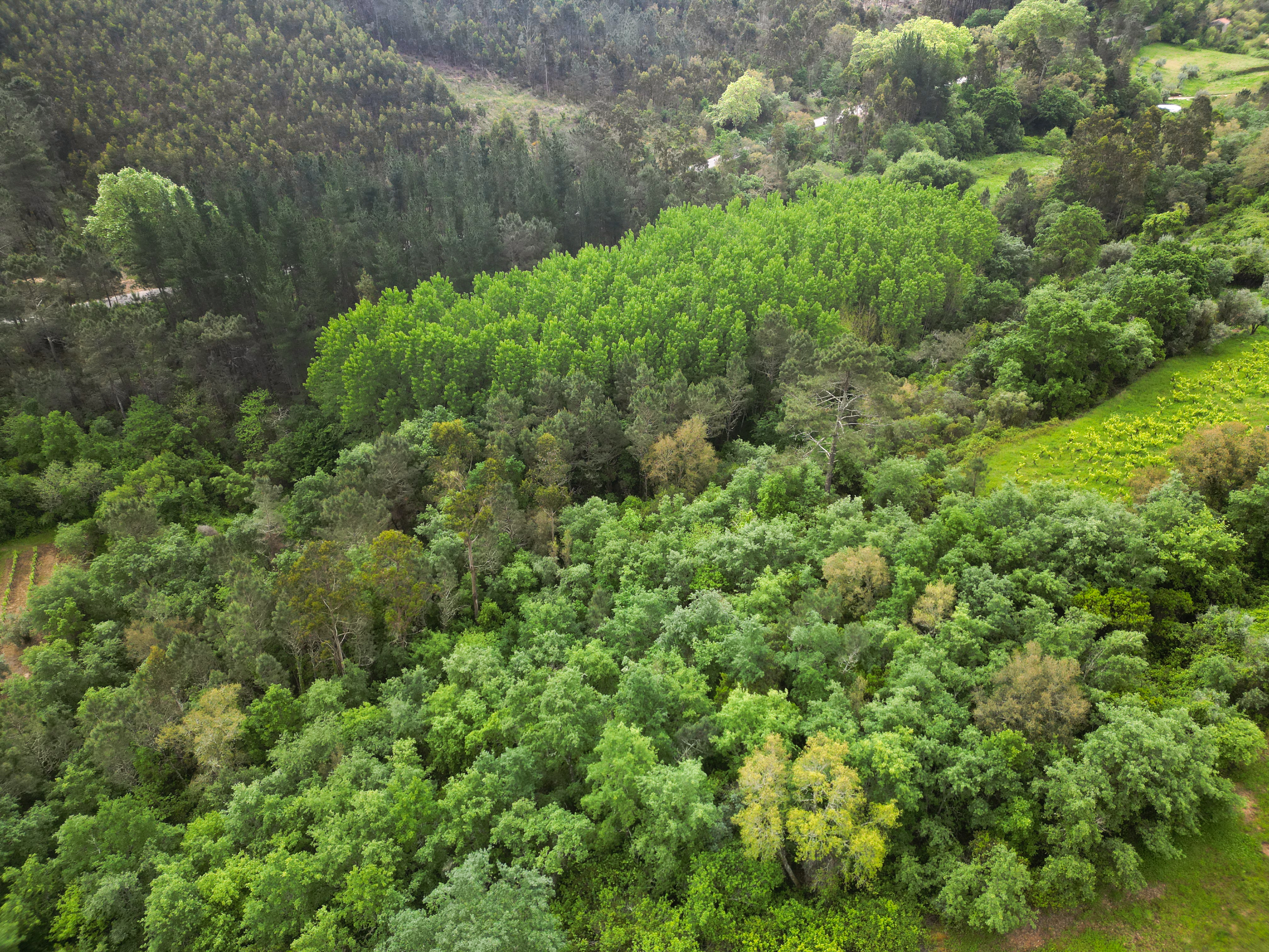 Bio-Reserva do Bispo