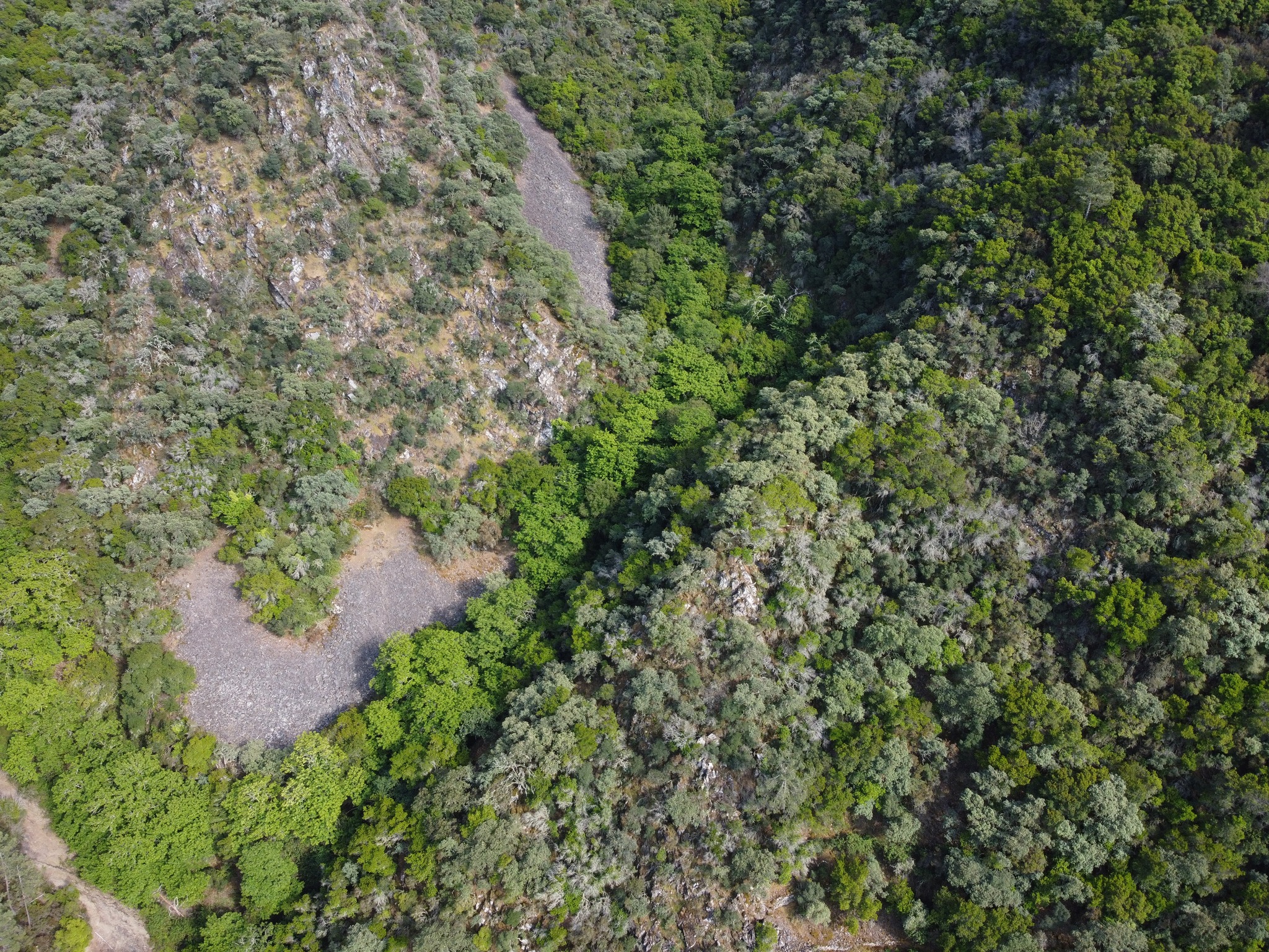 Bio-Reserva Integral Vale da Aveleira