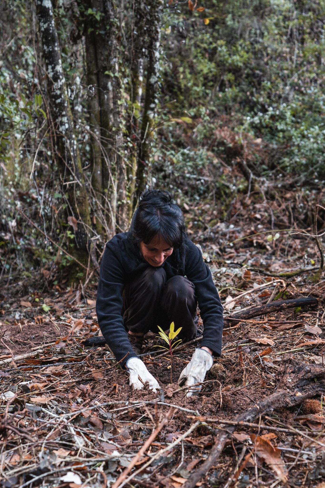 Myriam Kanoun-Boulé