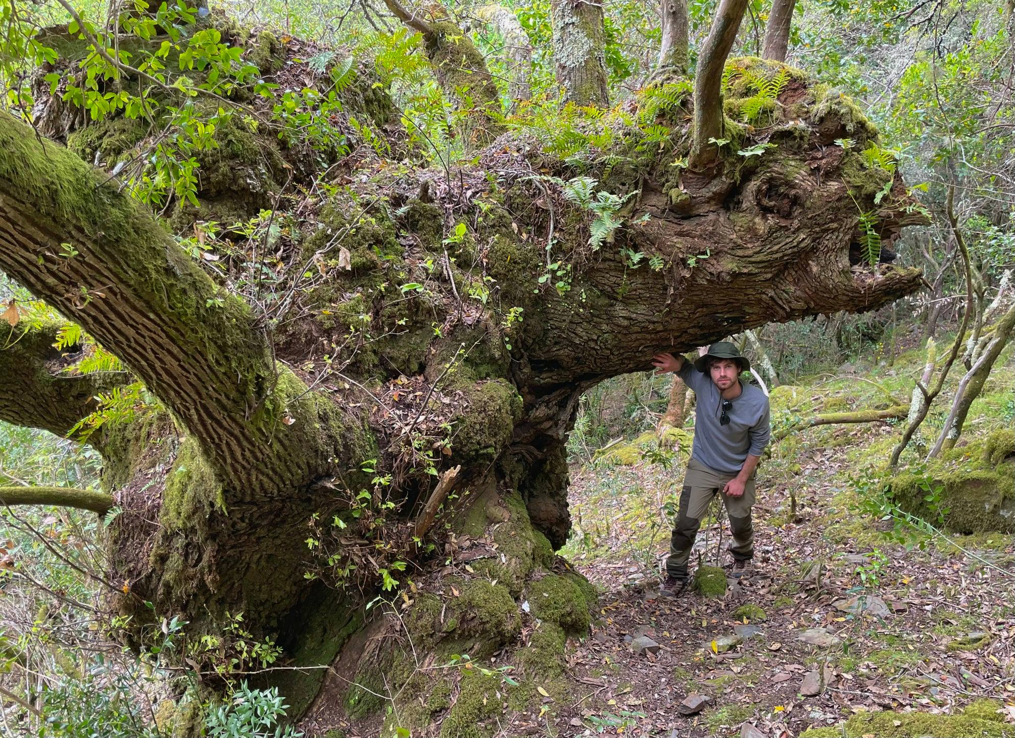 Espécies autóctones do Vale