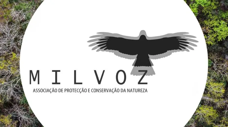Criação da associação