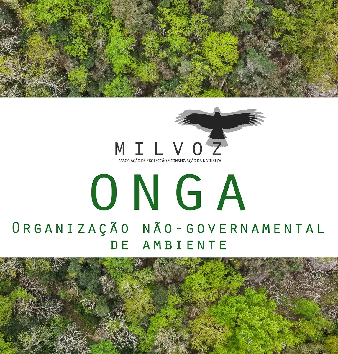 Reconhecimento da Milvoz como ONGA
