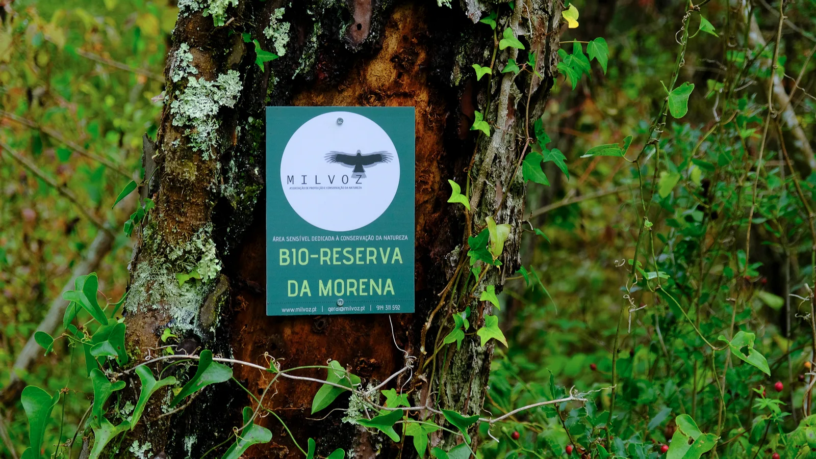 Criação do Grupo de Cuidadores para a Bio-Reserva da Morena